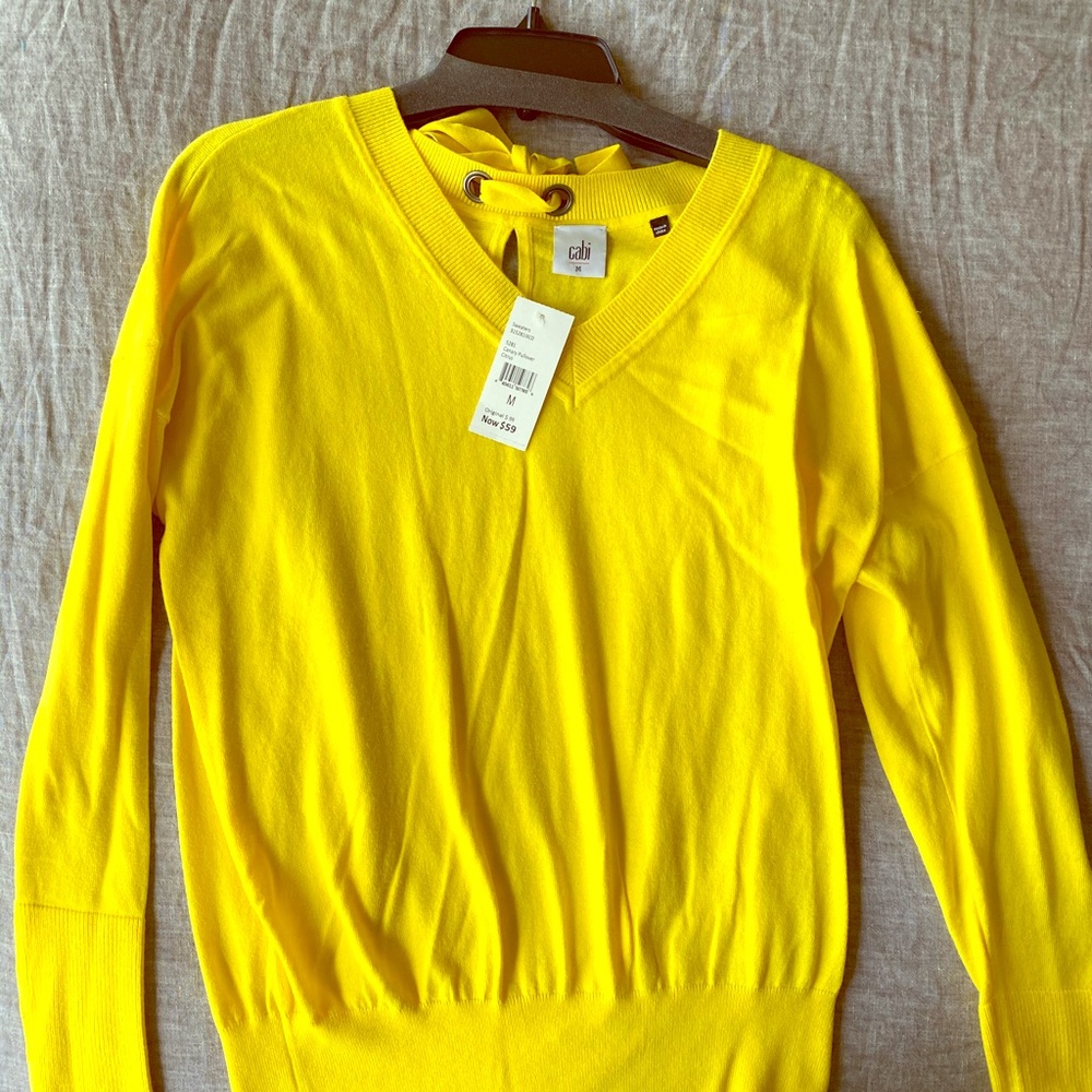 Cabi Summer Sweater